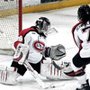 centericeclub > SCSU WOMEN vs RPI - EASTON HOCKEY SHOWCASE - 1/3/2009 - NHC photo